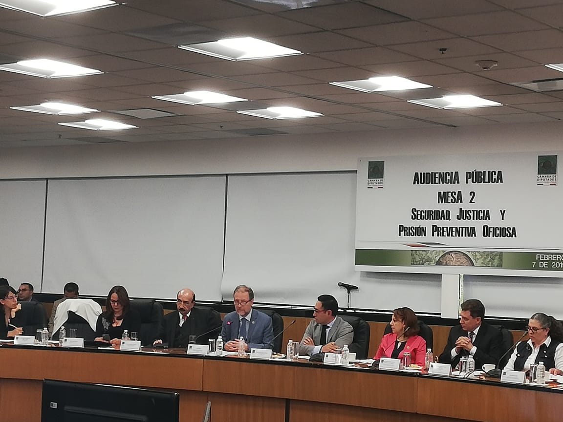 Jan Jarab en audiencia pública en la Cámara de Diputados (@ONUDHmexico)