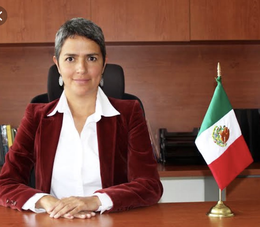 Karla Quintana Osuna fue designada por AMLO como titular de la Comisión Nacional de Búsqueda de Personas.