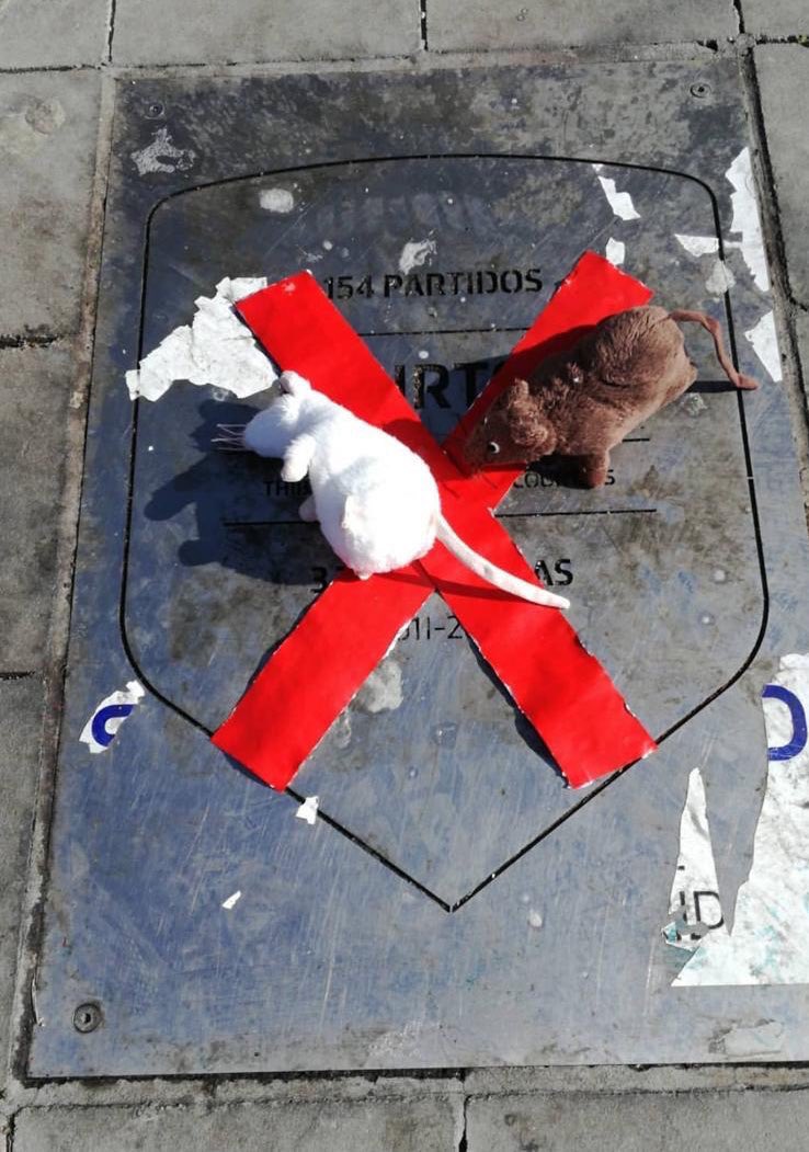 Colocan ratas en la placa del Courtois en el Wanda Metropolitano (Twitter @_YagoRM_)