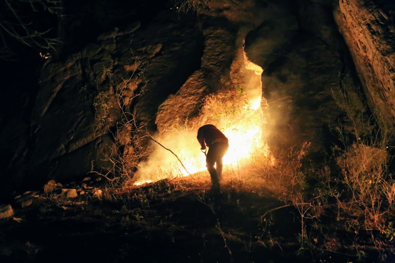 El incendio terminó con dos sabinos de más mil años de antigüedad. (Martín Piña)