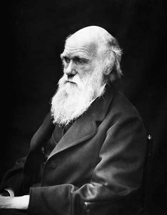"No hay ninguna diferencia fundamental entre el hombre y los animales en su capacidad de sentir placer y dolor, felicidad y miseria", Charles Darwin. 