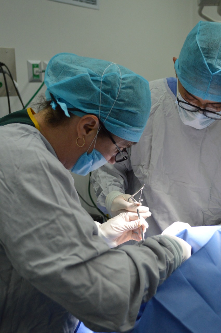 El trasplante se realizó en Hospital de Especialidades Pediátrico de León