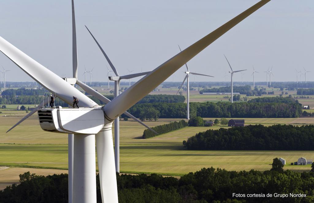 Energía eólica en Tamaulipas. (Cortesía)