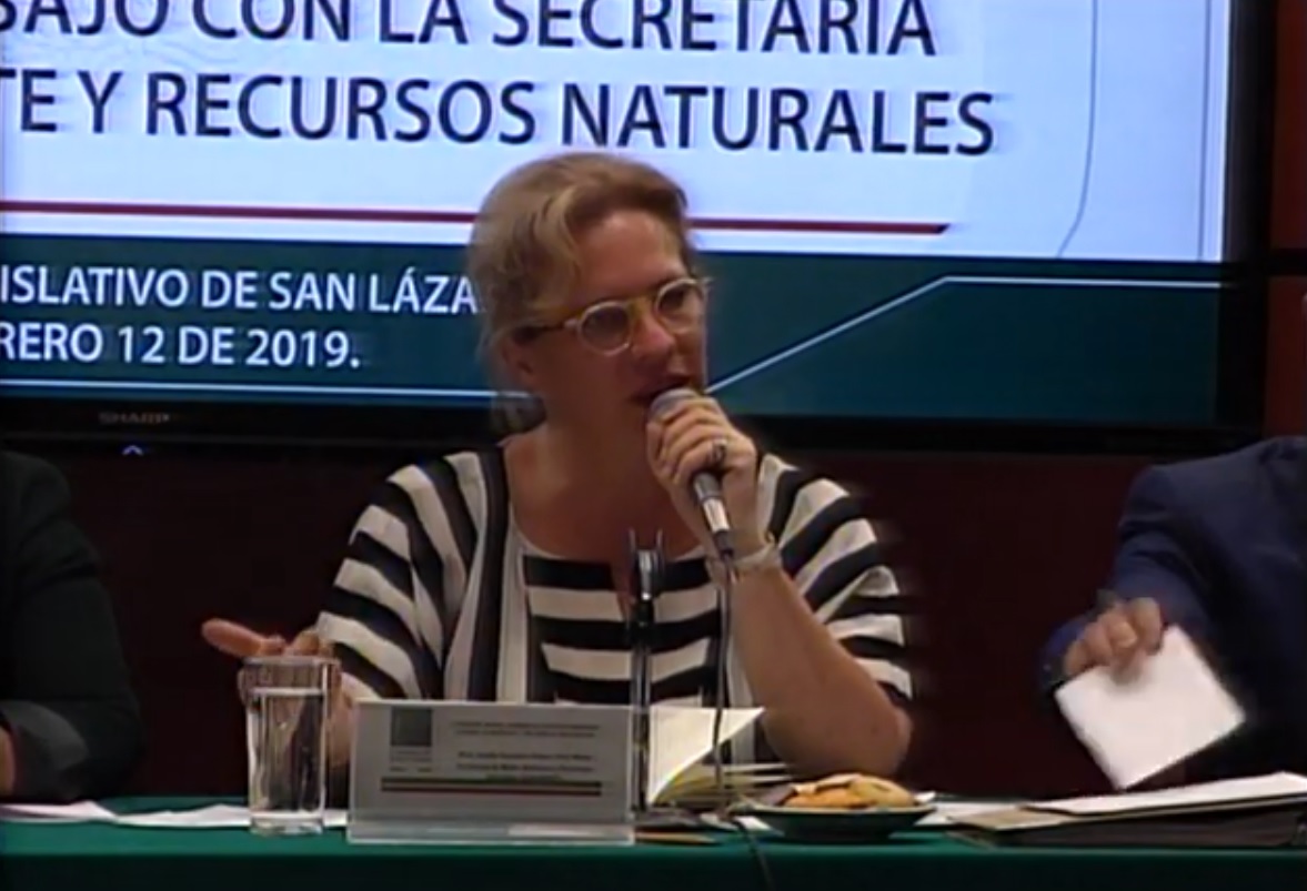 Josefa González Blanco presentó su renuncia como titular de Semarnat (Cuartoscuro)
