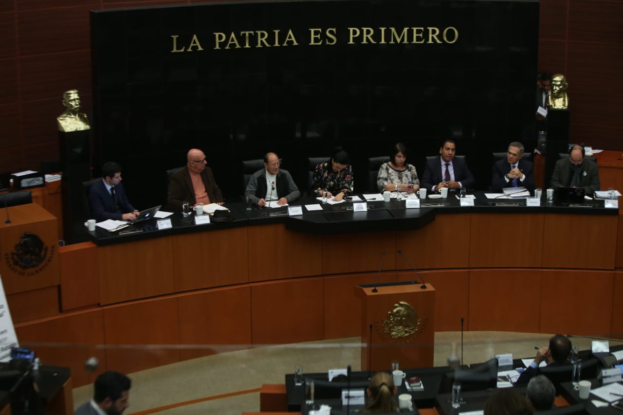 El padre Alejandro Solalinde en el parlamento abierto "Guardia Nacional"  en el Senado. (Juan Carlos Bautista)