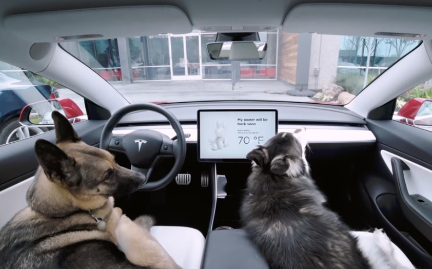 El modo perro de Tesla se encargará de que tus mascotas estén en perfectas condiciones dentro del auto. (Especial)