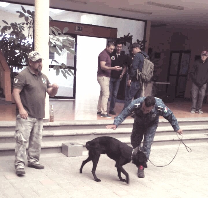 Certifican a perros policía de la SSPH en congreso internacional. (Cortesía)