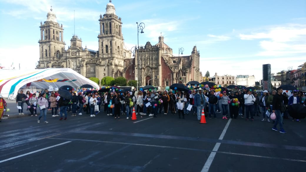 Aseguran que los menores necesitan estar a cargo de profesionales. (Jorge Becerril)