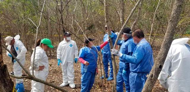 Junto a colectivos de Tamaulipas recorre Alejandro Encinas, subsecretario de Derechos Humanos de la Segob zona de fosas clandestinas.