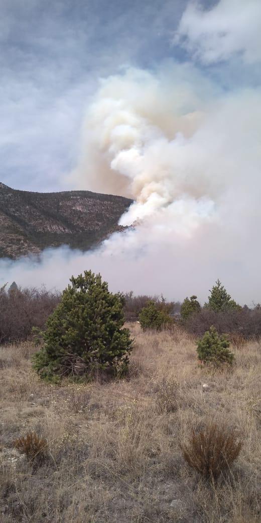 Se prevé la necesidad de apoyo aéreo para evitar la propagación del incendio forestal a áreas densas de bosque. (Especial)