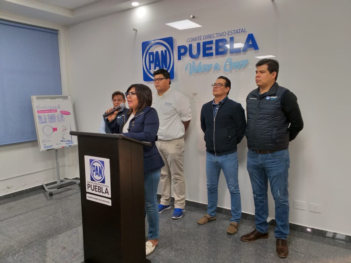 Únicamente se explora la posibilidad de concretar candidaturas comunes por la amplitud del plazo para generar acuerdos (Elena Domínguez)