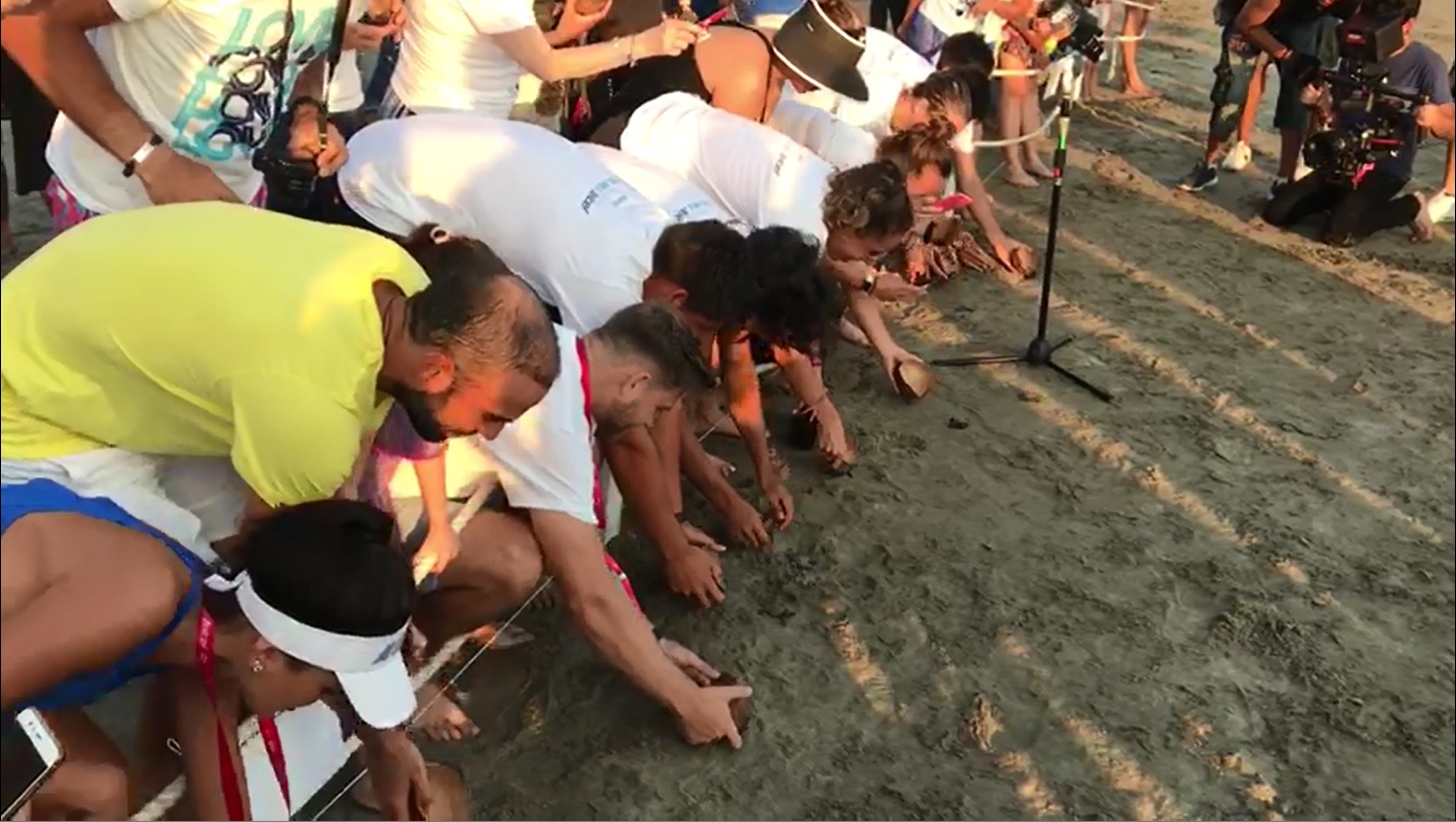 Tenistas liberan tortugas (Especial)