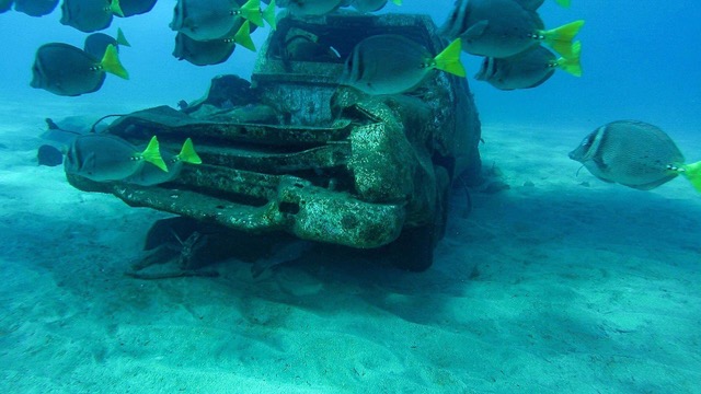 El huracán Odile en 2014 y la tormenta tropical Lidia en 2017 arrastraron hasta el fondo marino restos de varios carros. (Especial)