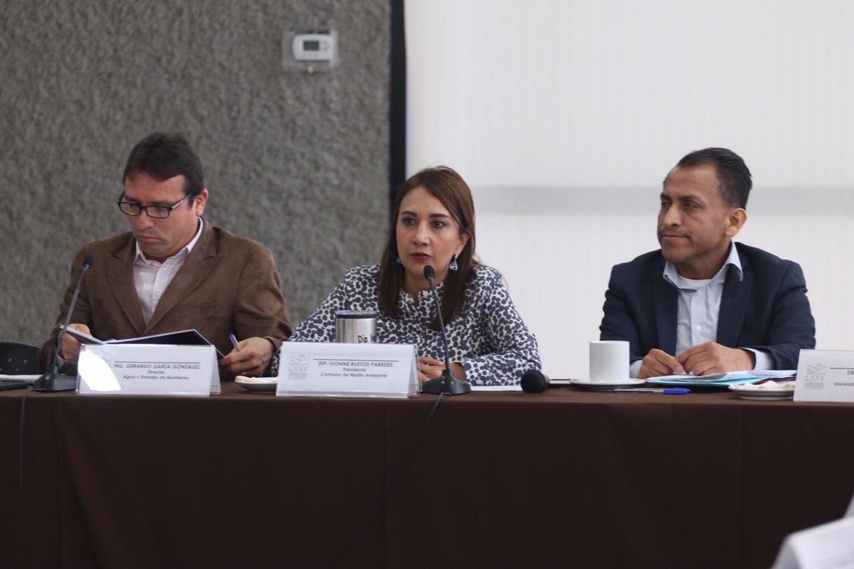 La legisladora consideró necesario fortalecer un marco jurídico. Foto: Especial