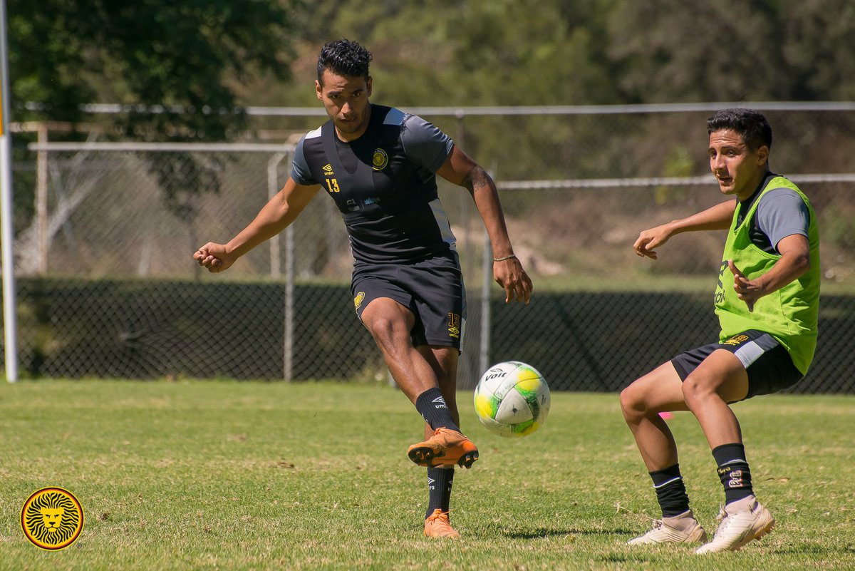 Leones Negros tendrá una semana pesada (Tomada de Twitter @LeonesNegrosCF)