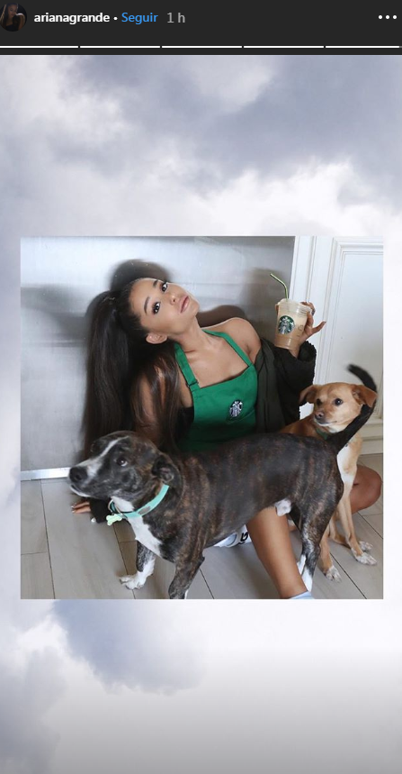 Ariana Grande (Instagram).