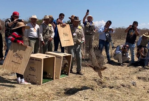 Autoridades federales y locales seguirán el proceso de adaptación. (Especial)