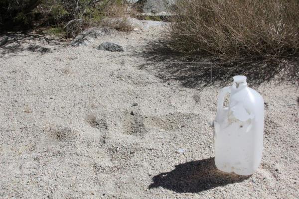 Botella de agua en el desierto/Especial.