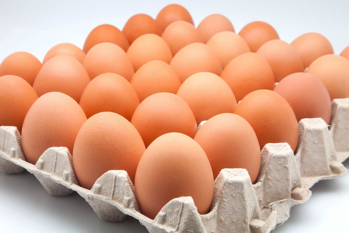 Huevos