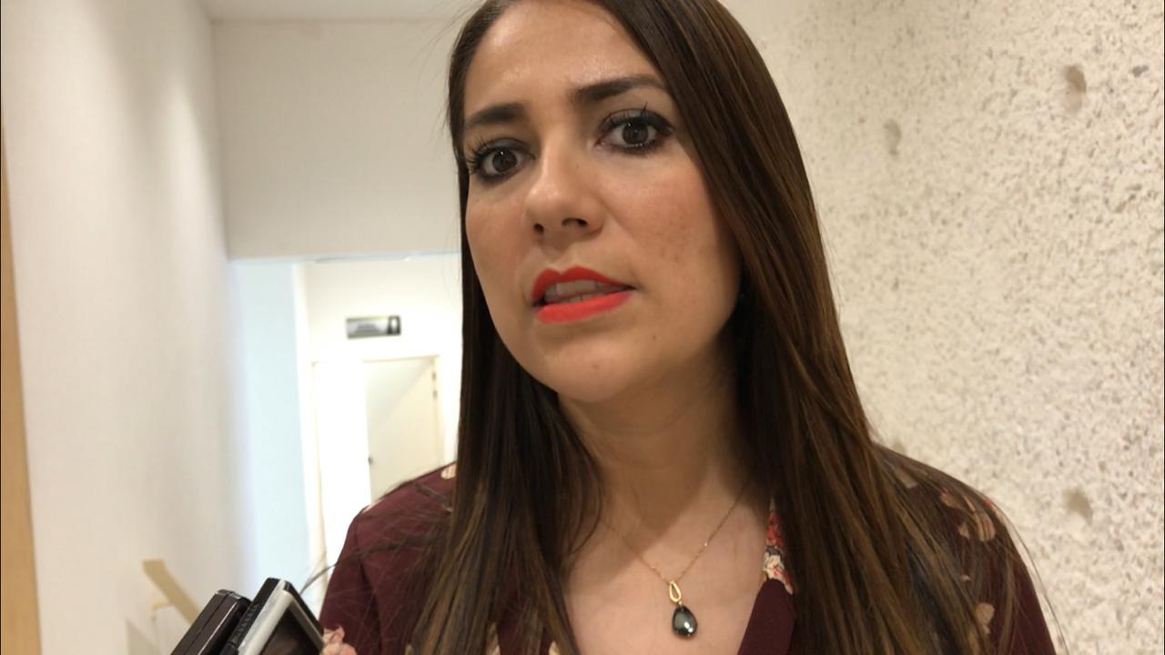 Diputada Libia Denisse García Muñoz Ledo