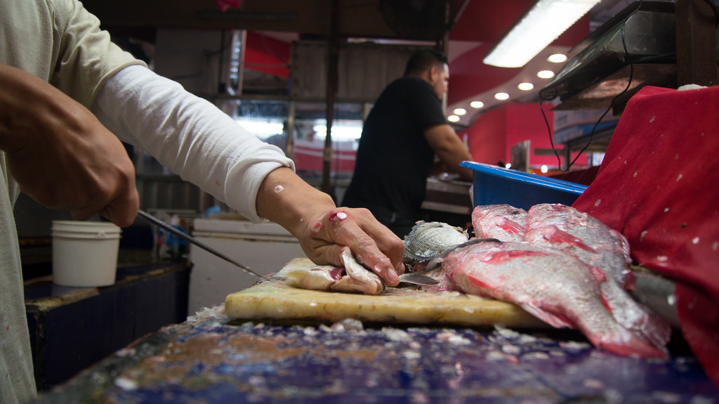 Existen más de 180 especies de pescados y mariscos. (Especial)