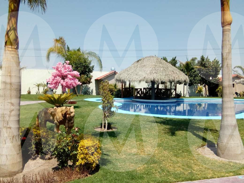 Al interior de la casa hay un amplio jardín que abarca casi la mitad del inmueble. (Milenio)