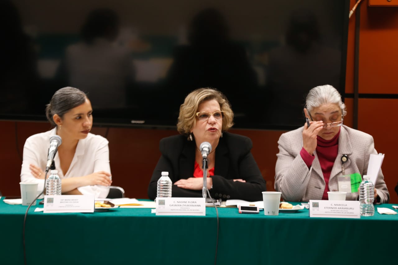Nadine  Gasman, directora del Inmujeres, negó cualquier intención de “expropiar” refugios para víctimas de violencia (Araceli López)