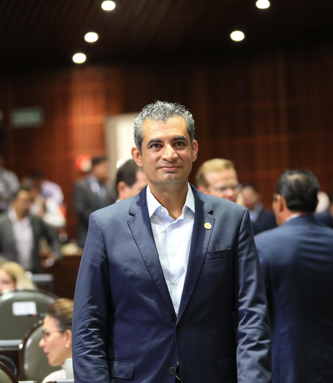 El diputado federal Enrique Ochoa Reza/Especial.