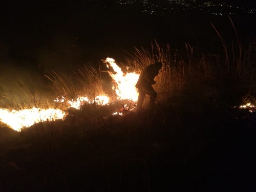 El municipio desplegó a bomberos en la zona. (Especial)