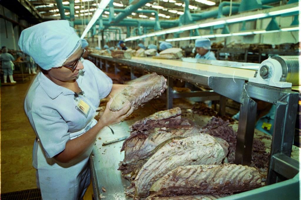 Empresas de atún que contengan soya serán penalizadas económicamente por la Profeco. (Cuartoscuro)