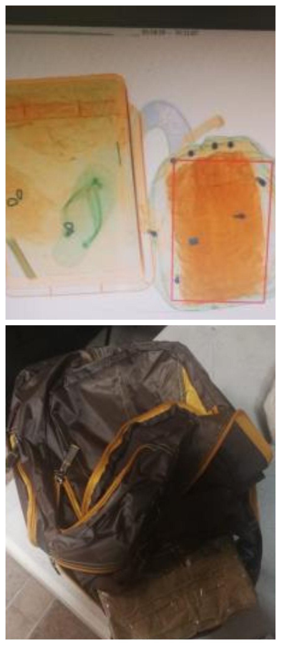 La persona pretendía viajar a Tijuana. (@PoliciaFedMx)