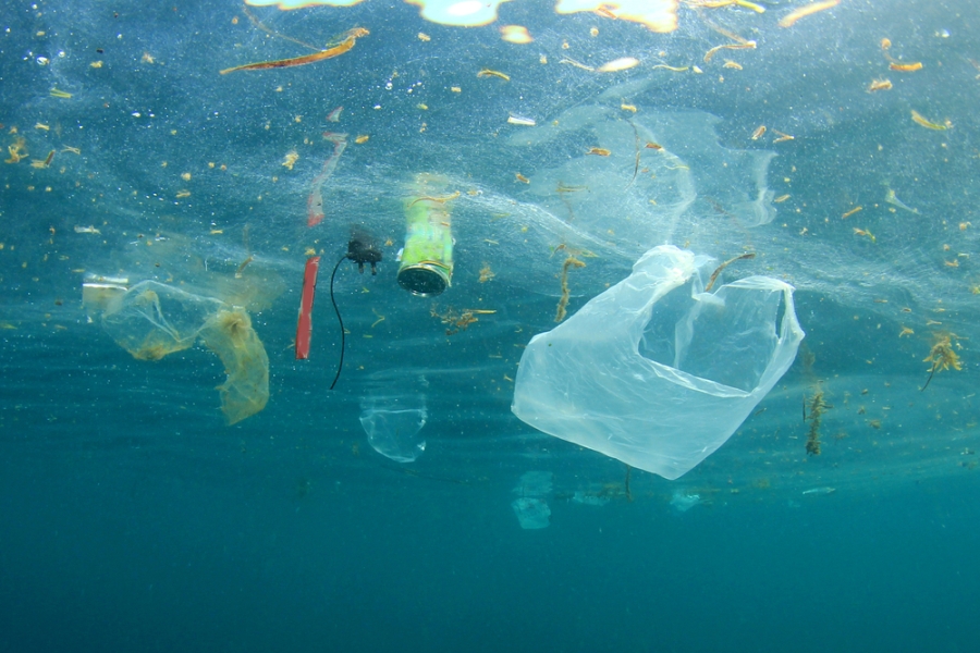Las bolsas de plástico que se disuelven en el agua se inventaron en Chile y ya se venden en Colombia. (Shutterstock)