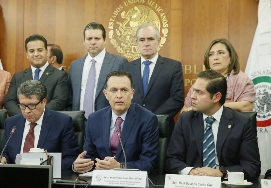 El senador dijo que el proyecto tiene "espíritu de reelección". | Cuartoscuro