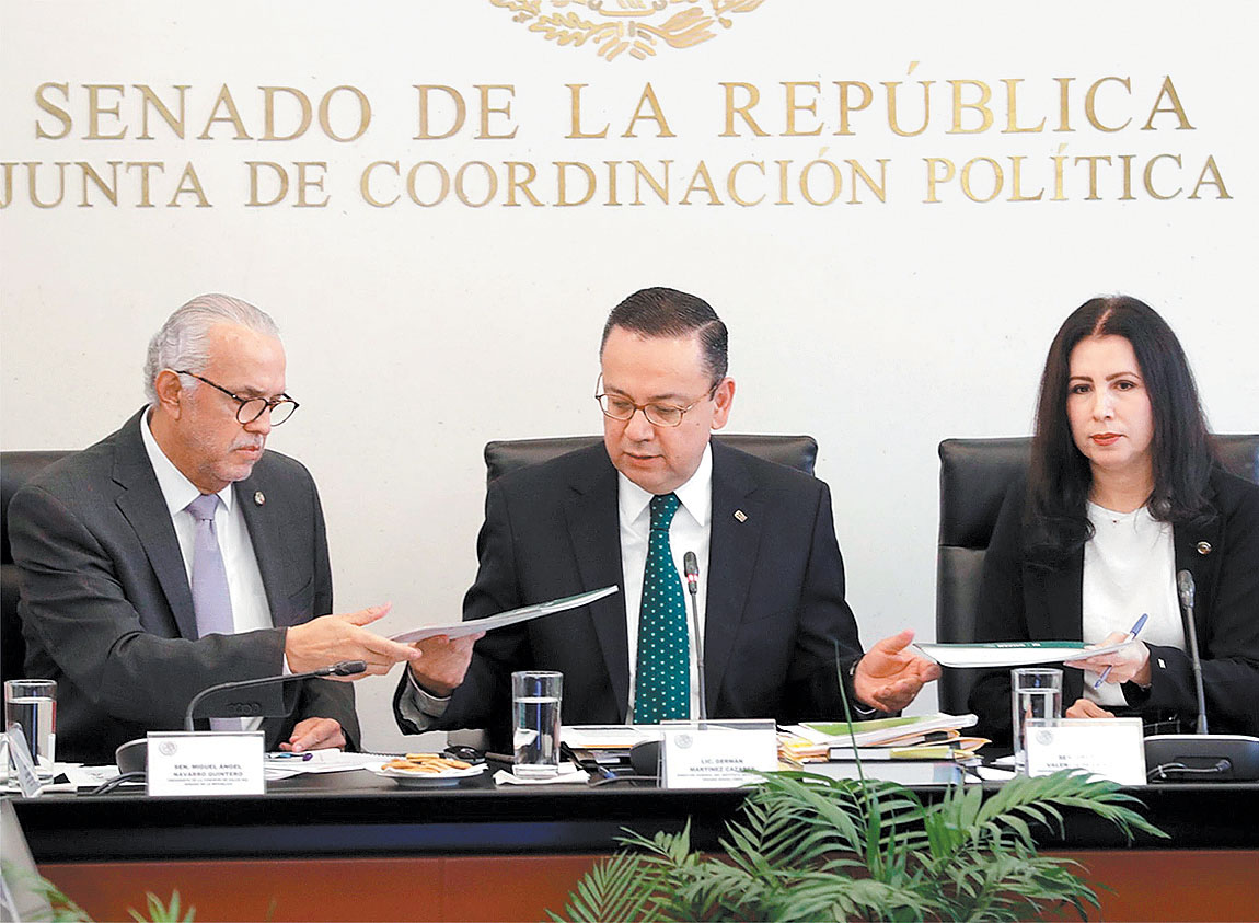 Martínez compareció ante comisiones unidas de Salud y Seguridad Social del Senado. (Especial)