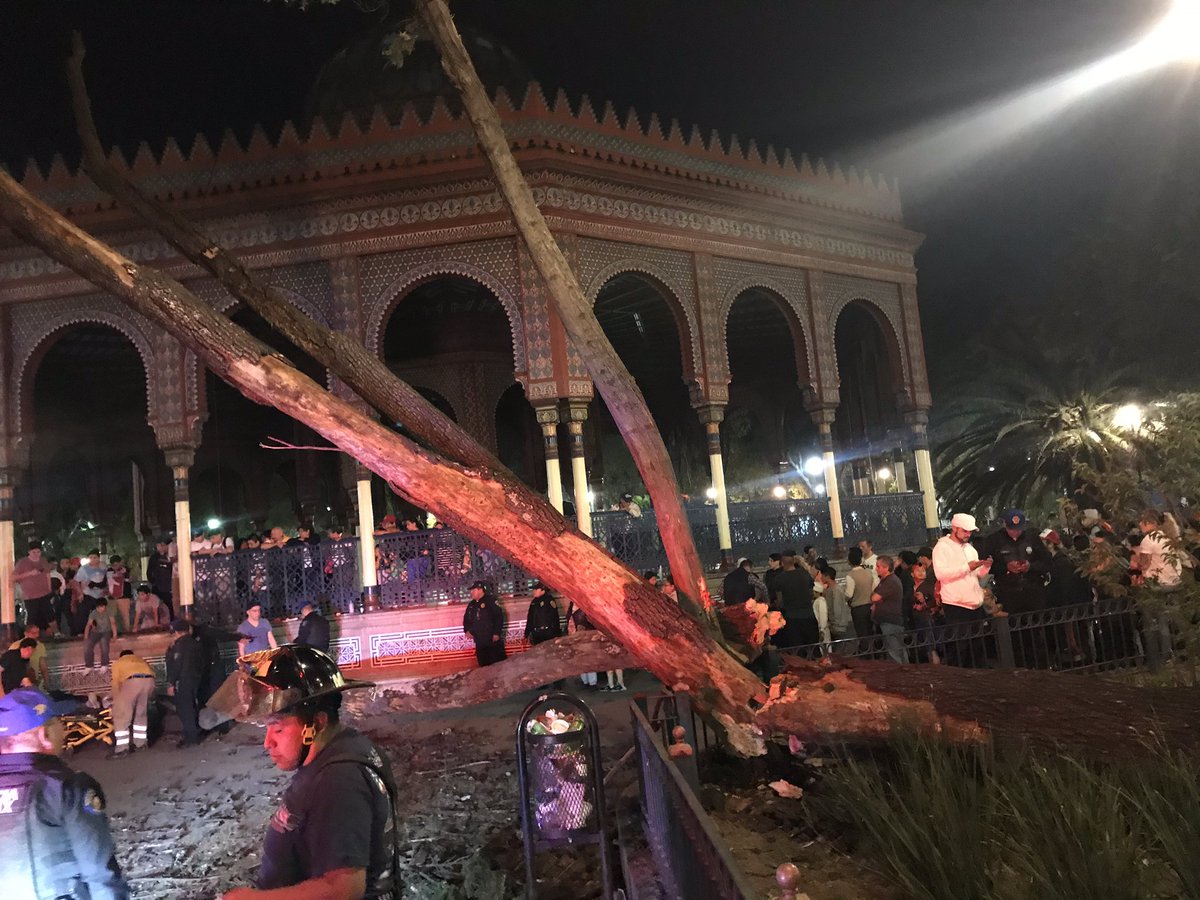 El árbol cayó cerca del Kiosco Morisco. (Tomada de @Fillipocran)
