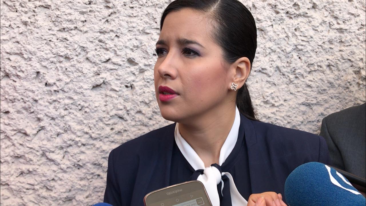 Comisionada de la Unidad de Análisis y Estrategia de Seguridad de Guanajuato, Sophia Huett