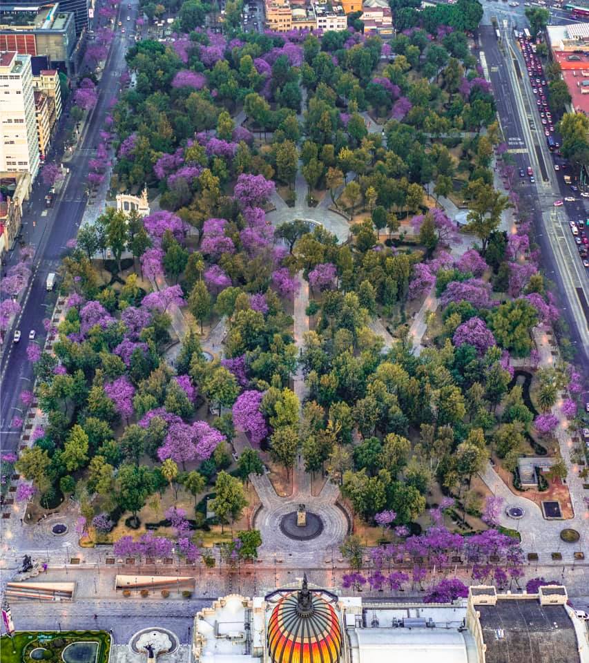 ¿Cuándo es el equinoccio de primavera 2019? Aquí te informamos (Santiago Arau).