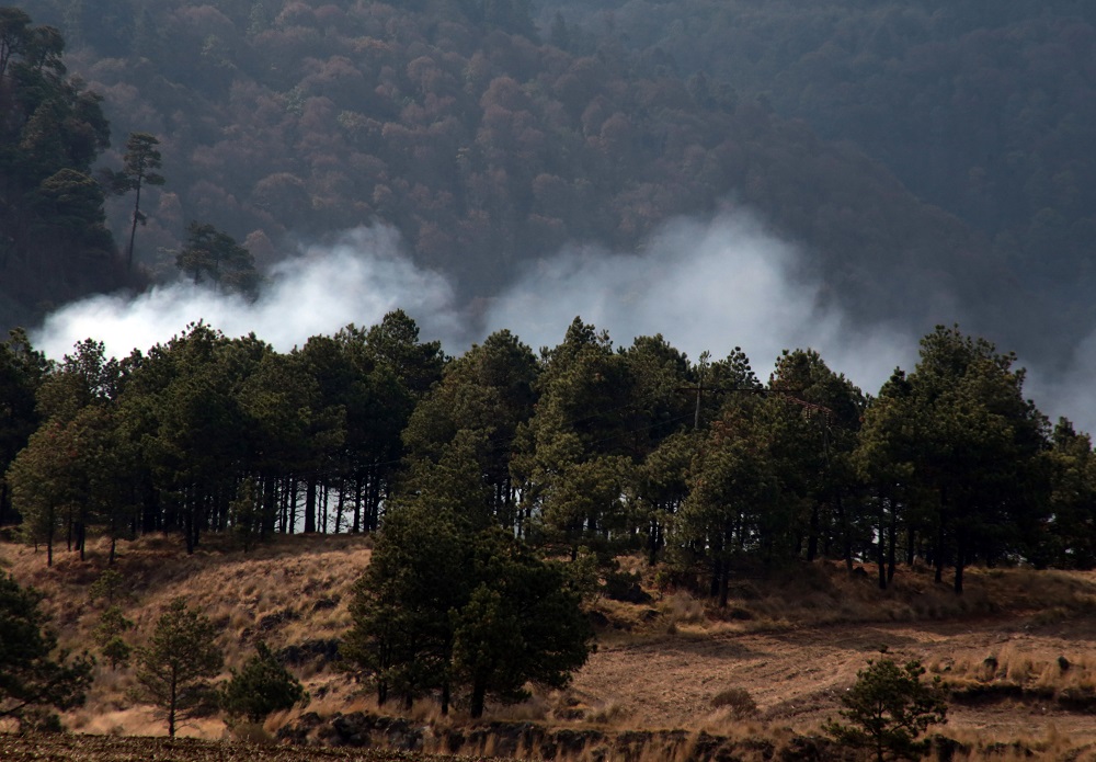 El Parque Nacional Cumbres del Ajusco. (Cuartoscuro)