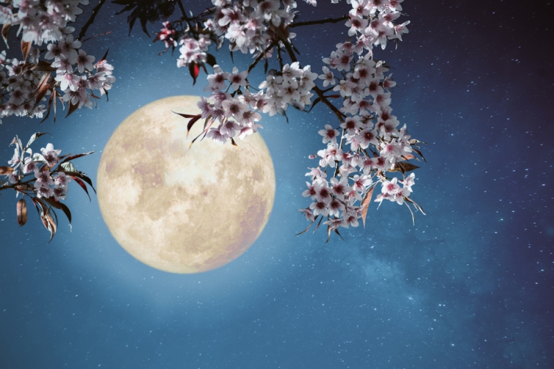 La súper Luna alumbrará el cielo nocturno esta noche, en el primer día de la primavera 2019 (Shutterstock).
