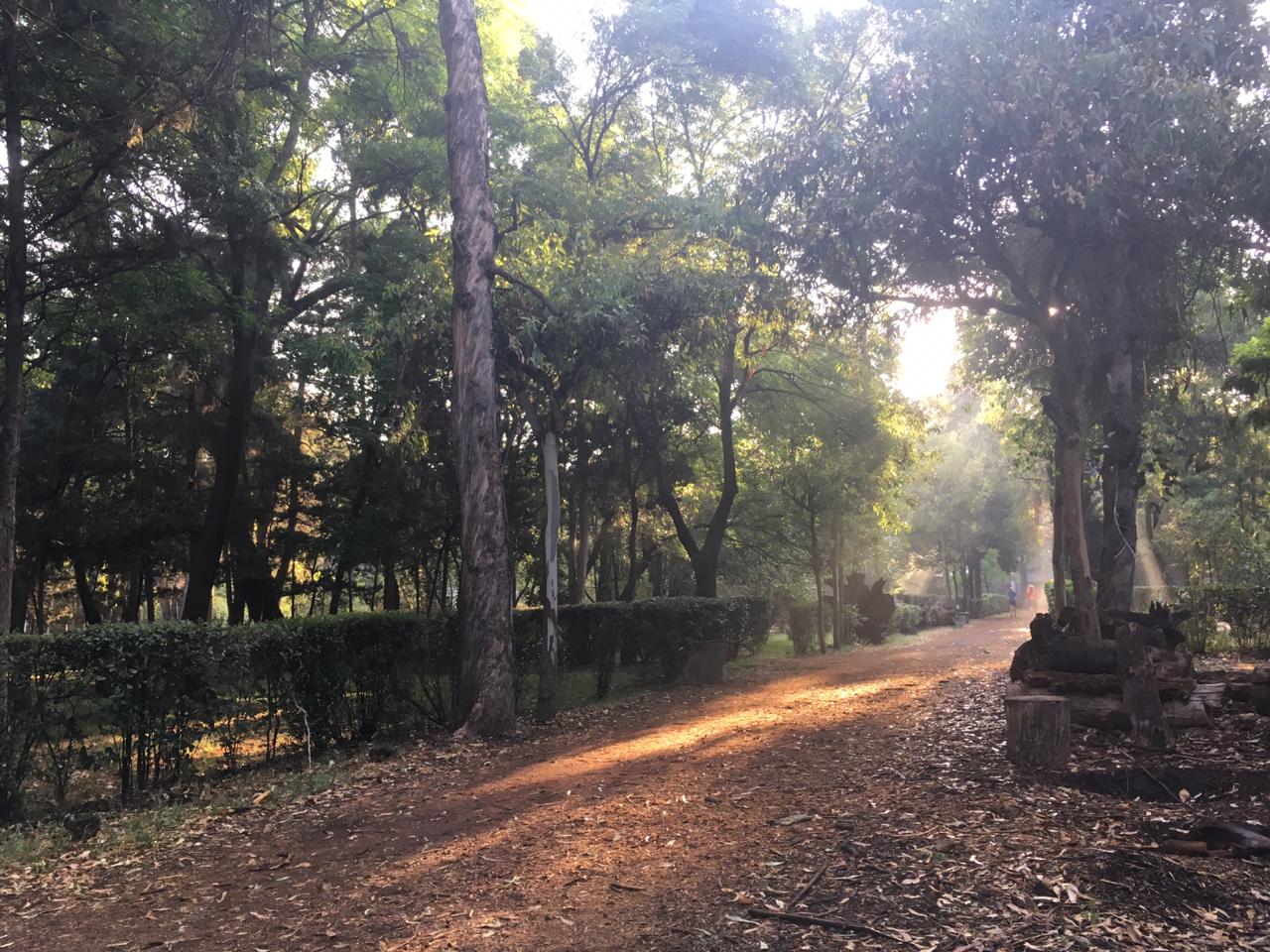 Viveros de Coyoacán. (Nancy Corro)
