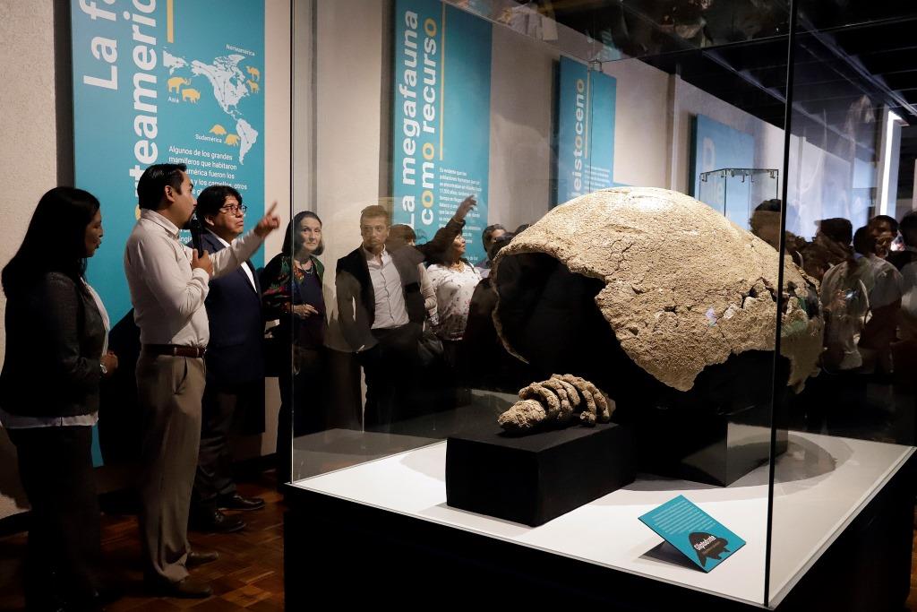 Están en exhibición diez piezas que fueron localizadas en la zona de Valsequillo (Agencia Enfoque)