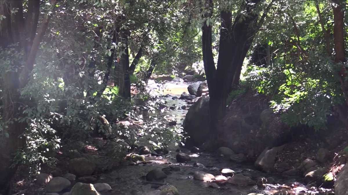 Los alumnos salieron salieron en grupo de San Bernabé Ocotepec.(@CANACOMexico)