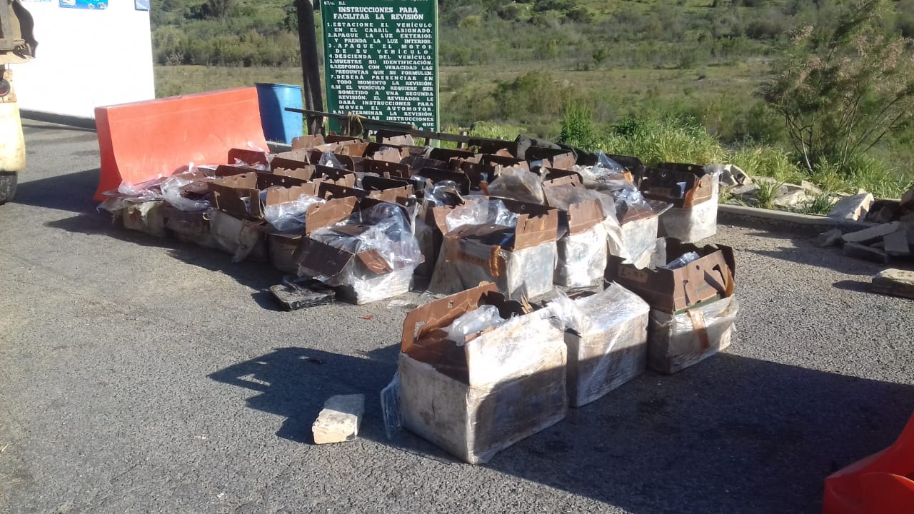 Las langostas fueron halladas dentro de cajas en un camión de carga.