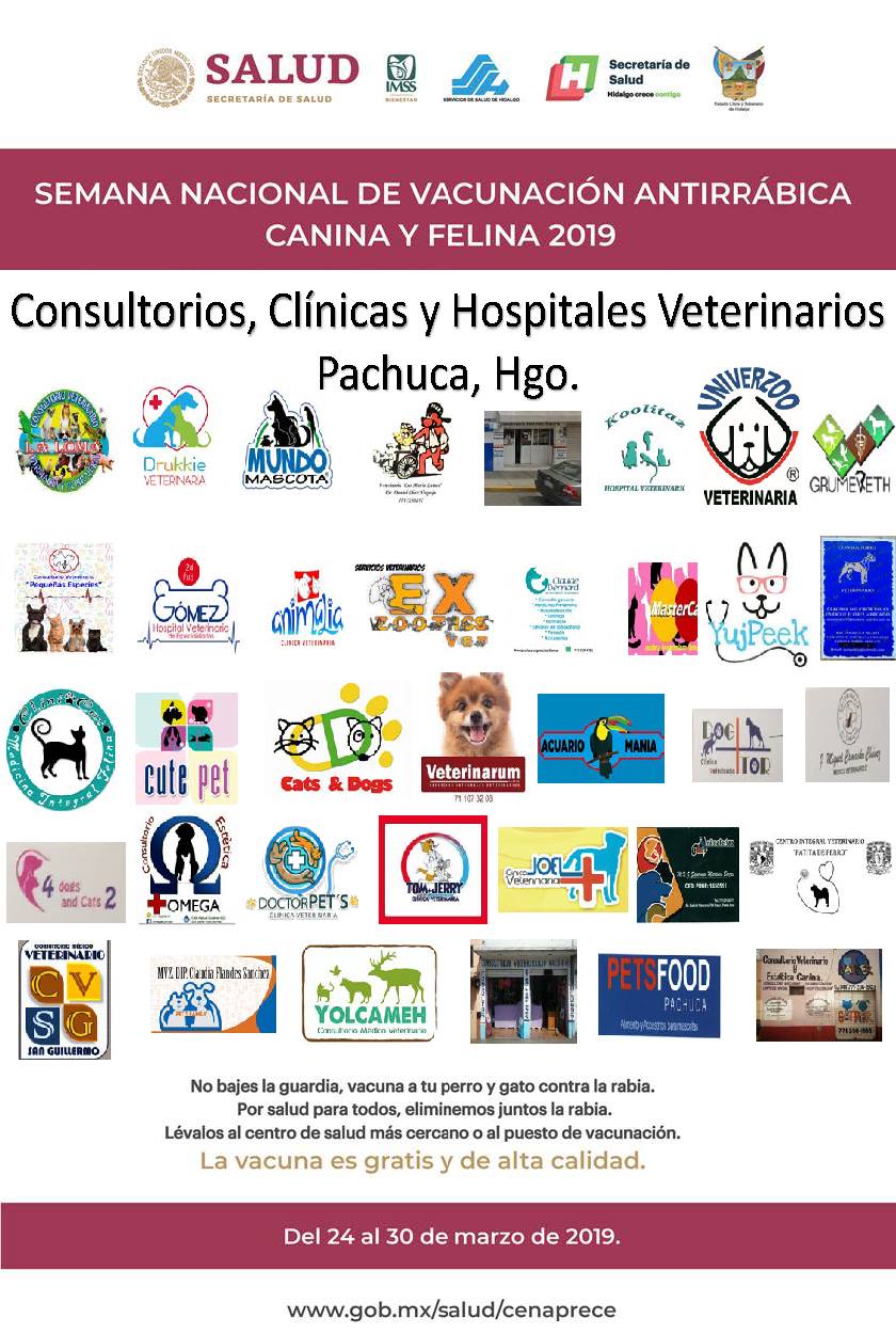 Disponen consultorios particulares de Pachuca como puestos de vacunación antirrábica. (Cortesía)