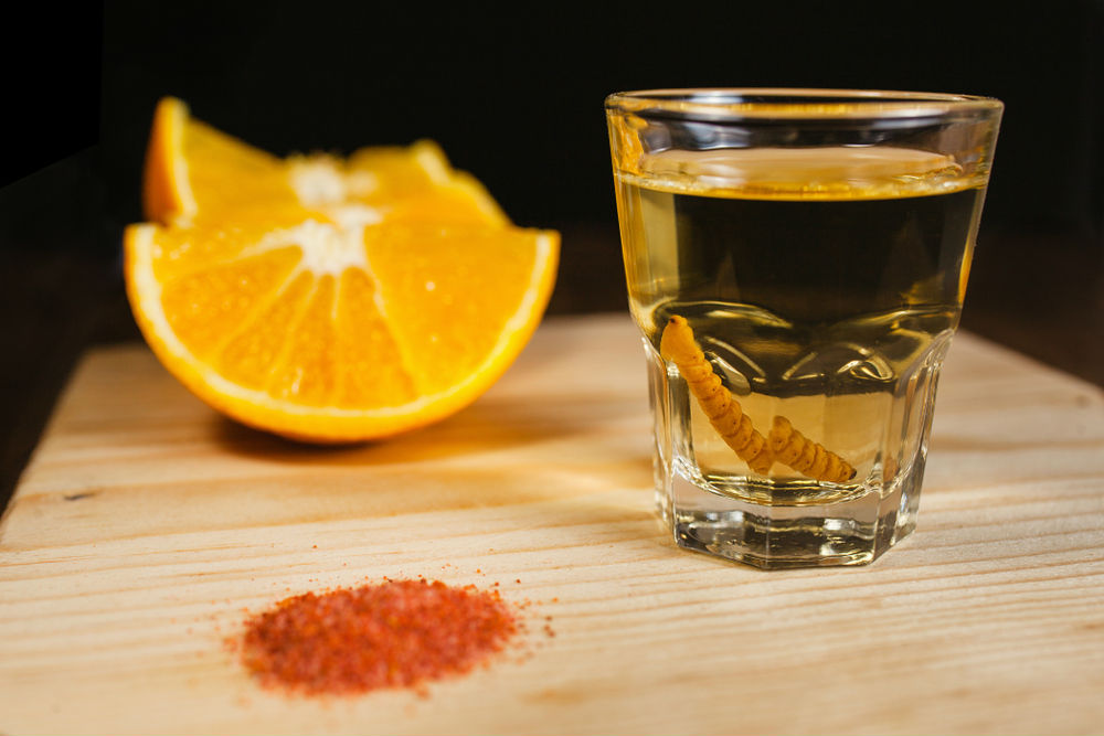El mezcal es un destilado del maguey. (Shutterstock)