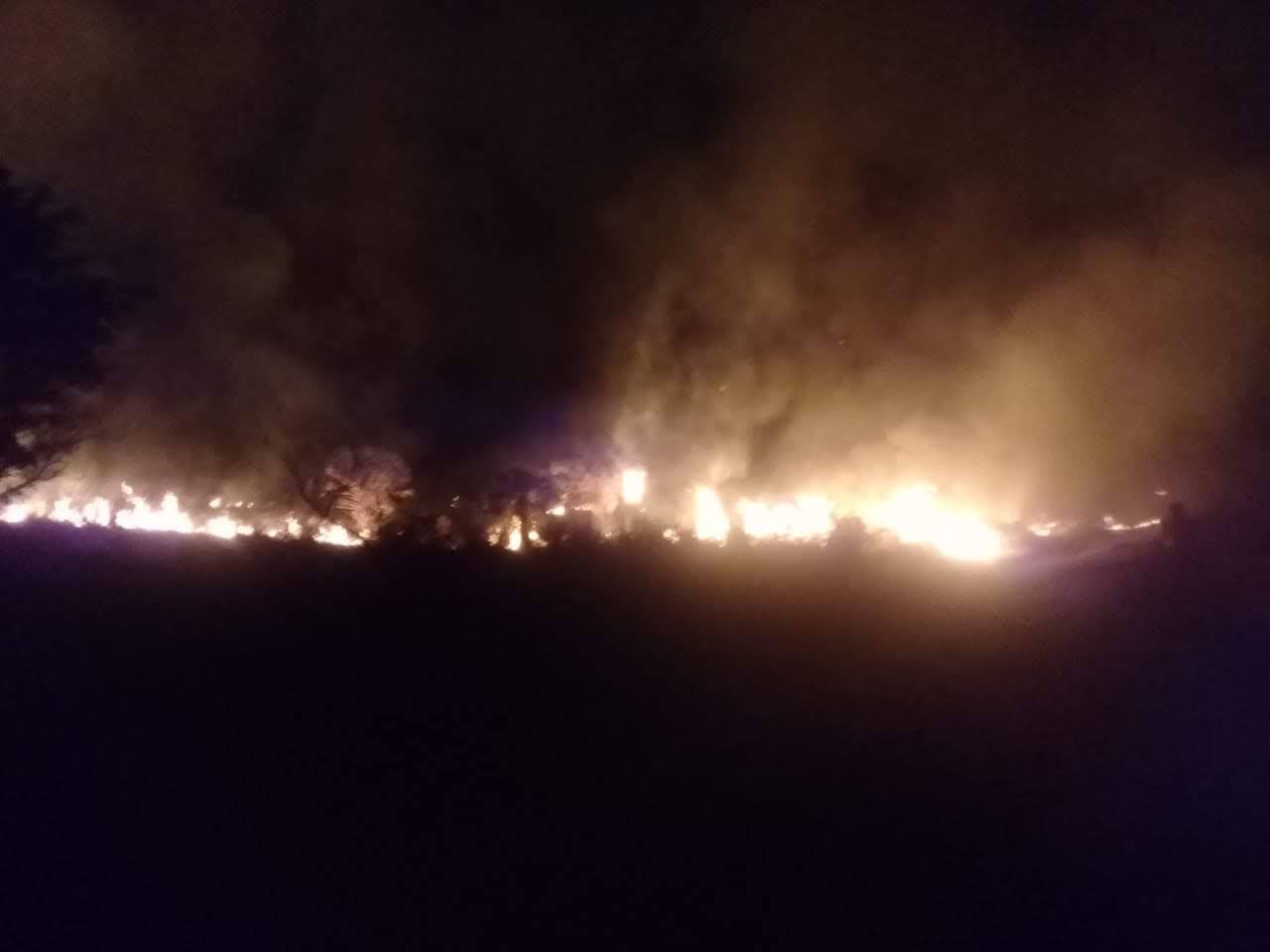 Incendio en pastizal