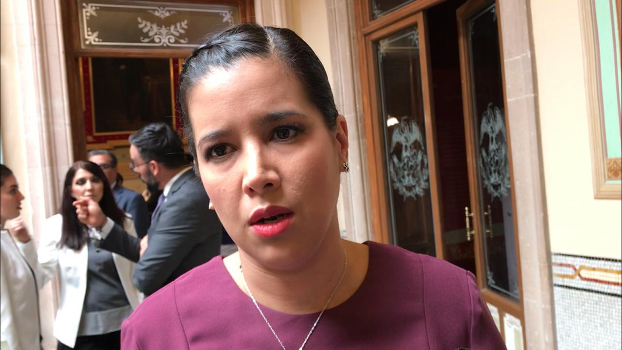 Comisionada de Análisis y Estrategia para la Seguridad, Sophia Huett