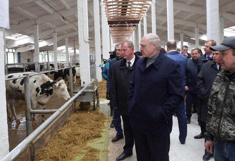 Un video mostró a Alexander Lukashenko reprendiendo a los administradores y al gobernador durante una visita a la granja de Mogilev. (AP)