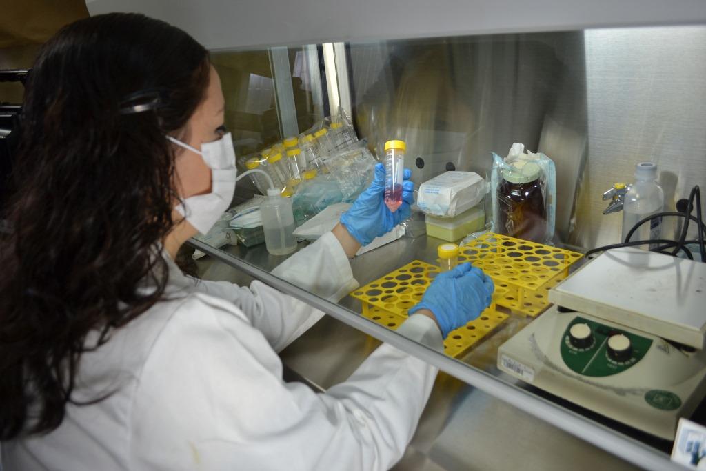 El anticuerpo encontrado por la investigadora de la UAP induce una citotoxicidad celular que destruye la célula tumoral  (Especial)