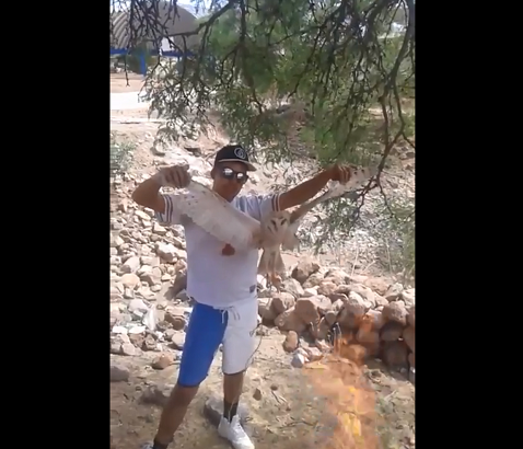 Los hombres arrojaron a la lechuza "por ser una bruja". (Especial)